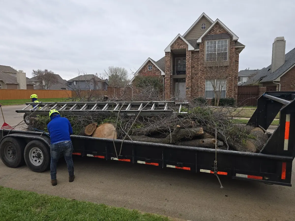 Expert Tree Pest Control with proper safety equipment in Wilmington